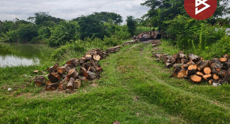 For sale land in Song Phi Nong, Suphan Buri