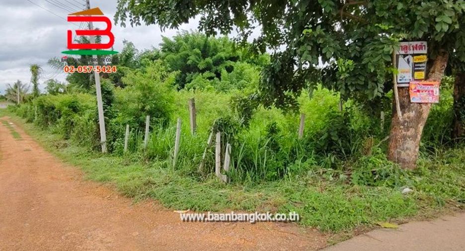 Terreno en venta en Dan Makham Tia, Kanchanaburi