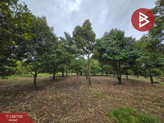 For sale land in Mueang Chanthaburi, Chanthaburi