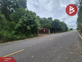 For sale land in Suan Phueng, Ratchaburi