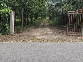 For sale land in Suan Phueng, Ratchaburi