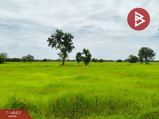 For sale land in Prakhon Chai, Buriram