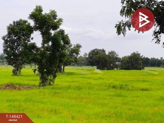 For sale land in Prakhon Chai, Buriram