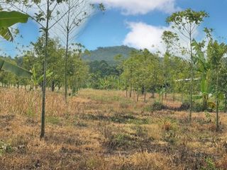 For sale land in Soi Dao, Chanthaburi
