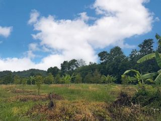 For sale land in Soi Dao, Chanthaburi