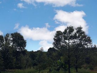 For sale land in Soi Dao, Chanthaburi