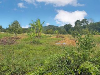 For sale land in Soi Dao, Chanthaburi