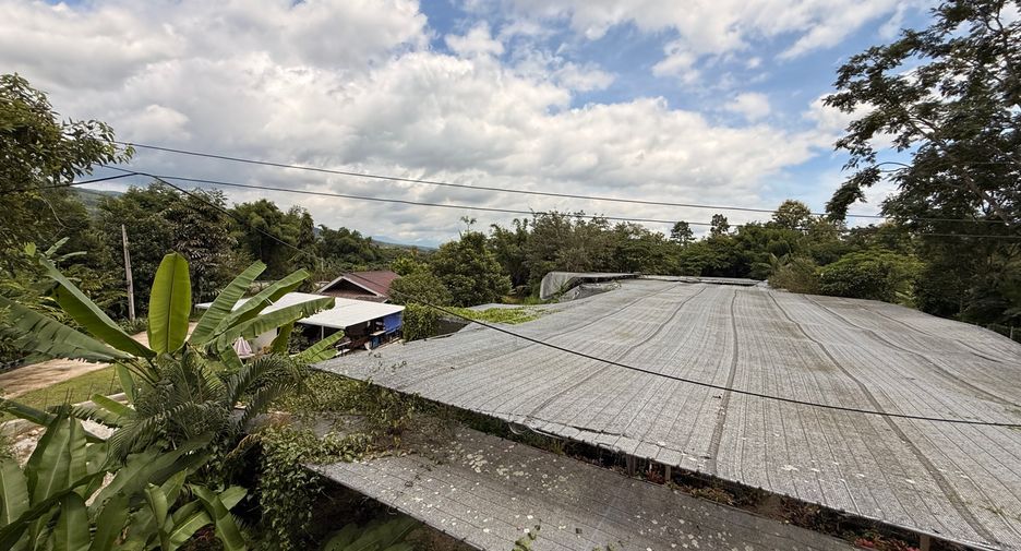 For rent and for sale 2 bedrooms house in Mae Rim, Chiang Mai