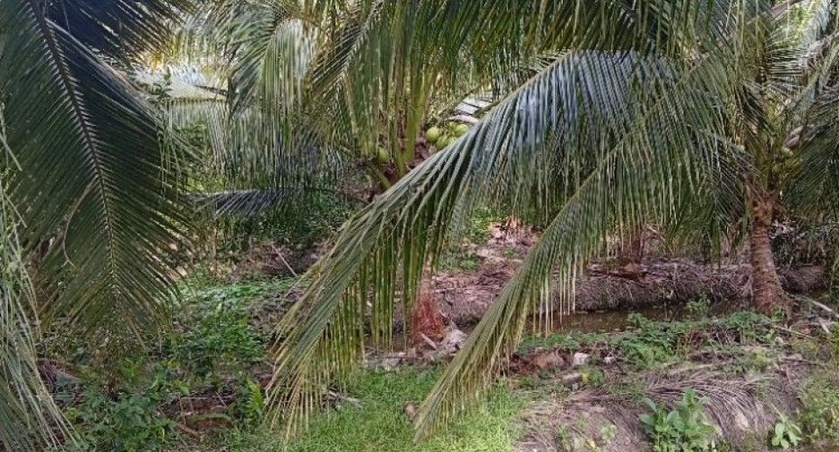 Terreno en venta en Sam Phran, Nakhon Pathom