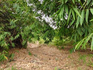 For sale land in Mueang Suphanburi, Suphan Buri