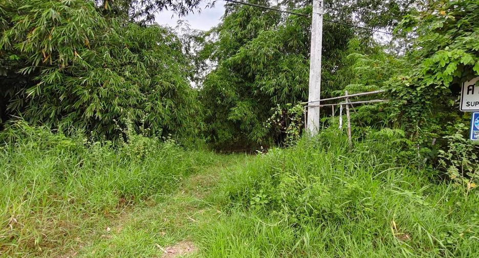 For sale land in Mueang Suphanburi, Suphan Buri