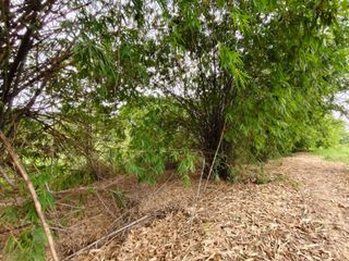For sale land in Mueang Suphanburi, Suphan Buri