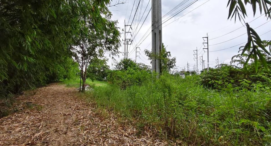 For sale land in Mueang Suphanburi, Suphan Buri