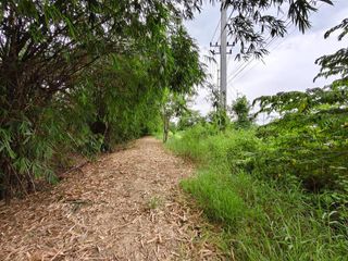 For sale land in Mueang Suphanburi, Suphan Buri