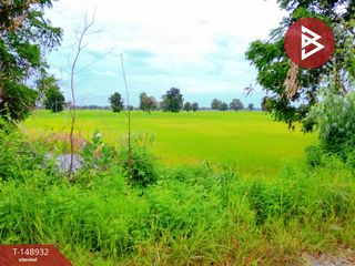 For sale land in Mueang Surin, Surin