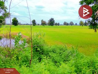 For sale land in Mueang Surin, Surin