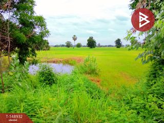 For sale land in Mueang Surin, Surin