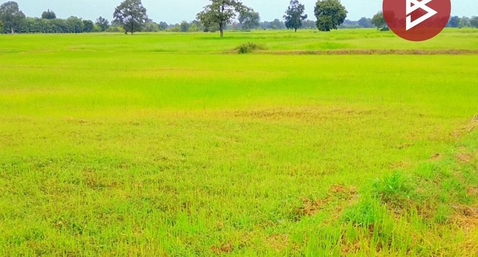 For sale land in Mueang Surin, Surin