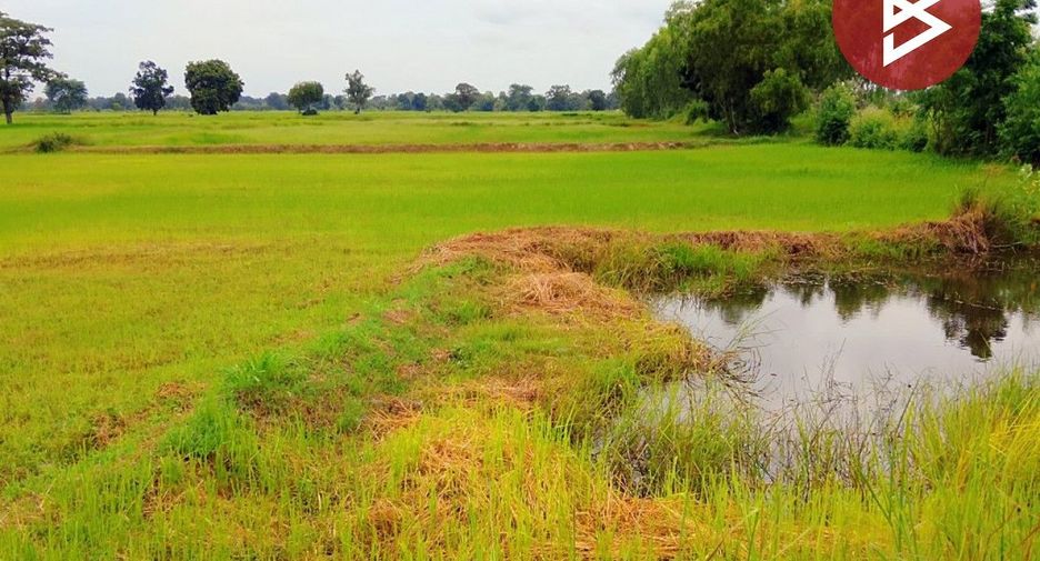 For sale land in Mueang Surin, Surin