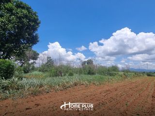 出售 土地 在 Pak Chong, Nakhon Ratchasima