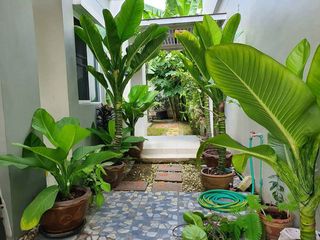 出租 3 卧室 独立屋 在 Bang Phli, Samut Prakan