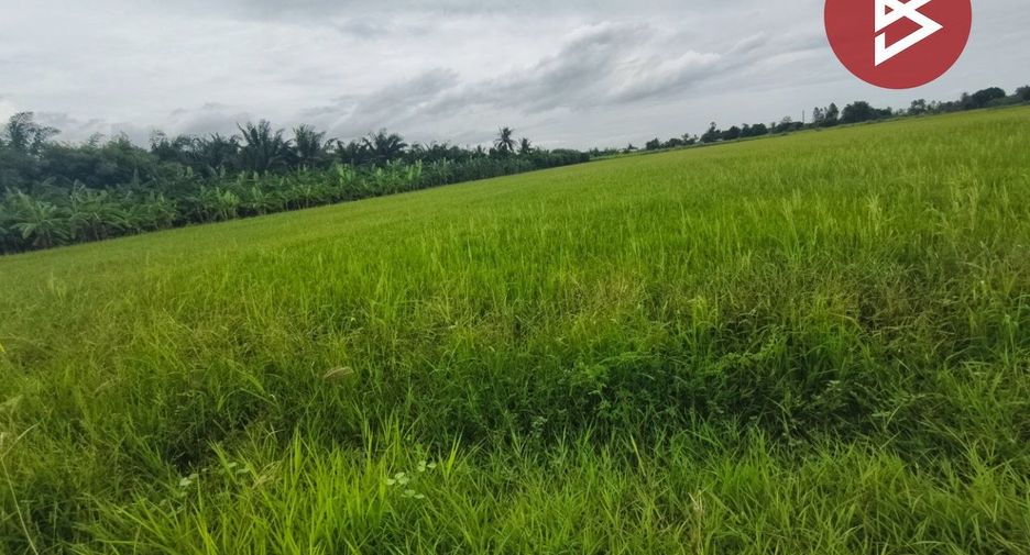 For sale land in Song Phi Nong, Suphan Buri