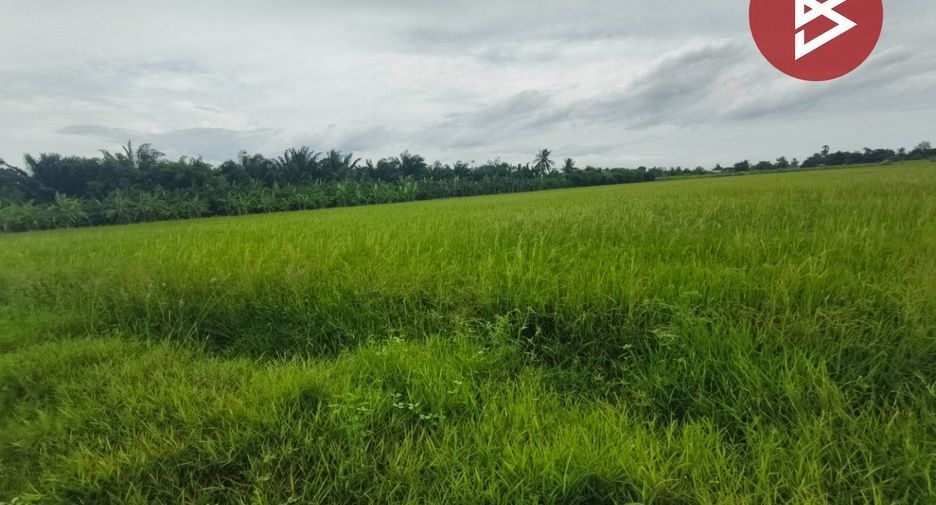 For sale land in Song Phi Nong, Suphan Buri