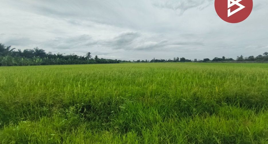 For sale land in Song Phi Nong, Suphan Buri