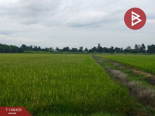 For sale land in Song Phi Nong, Suphan Buri