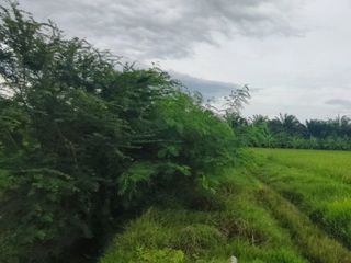 For sale land in Song Phi Nong, Suphan Buri