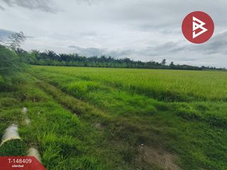 For sale land in Song Phi Nong, Suphan Buri
