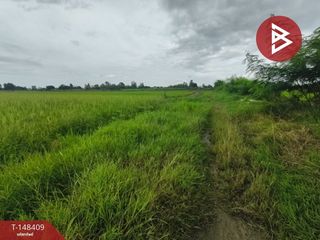 For sale land in Song Phi Nong, Suphan Buri