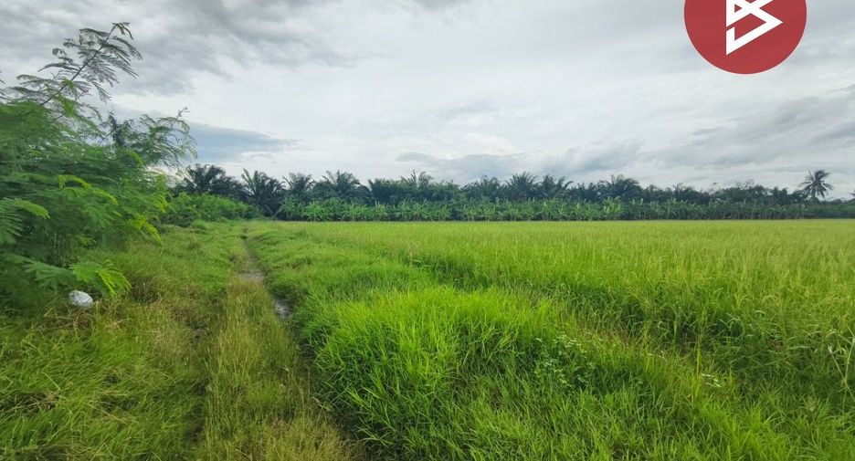 For sale land in Song Phi Nong, Suphan Buri