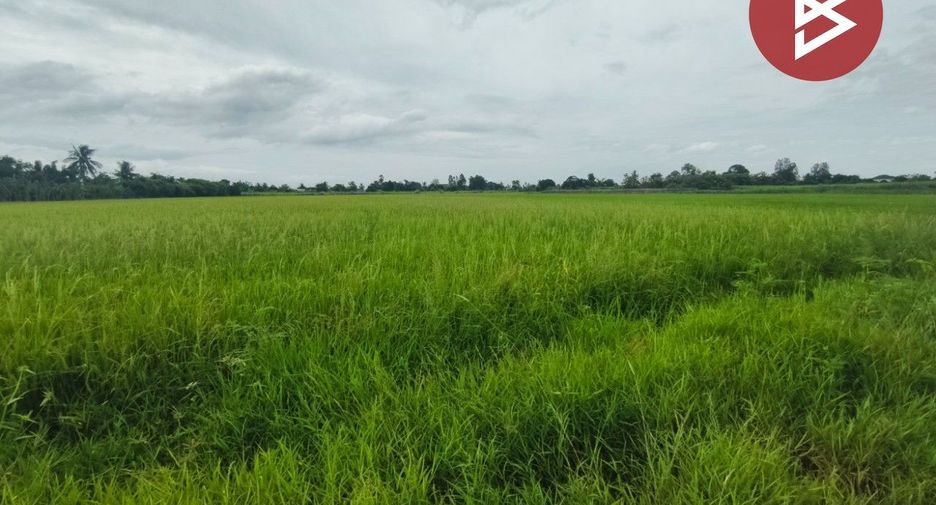 For sale land in Song Phi Nong, Suphan Buri