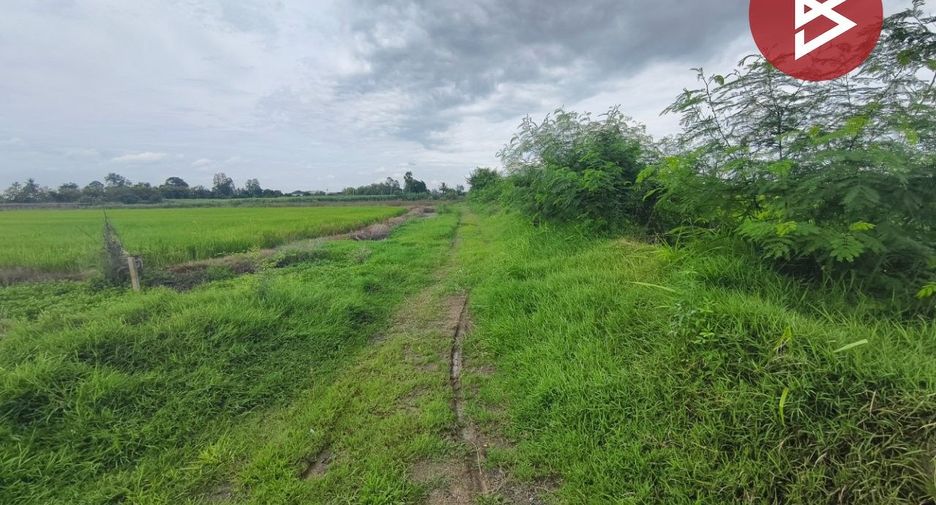 For sale land in Song Phi Nong, Suphan Buri