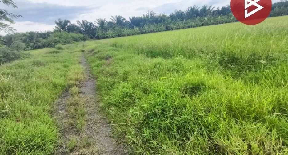 For sale land in Song Phi Nong, Suphan Buri