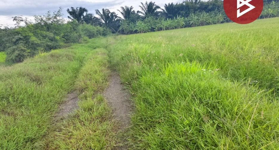 For sale land in Song Phi Nong, Suphan Buri