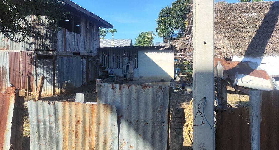 For sale land in Si Thep, Phetchabun