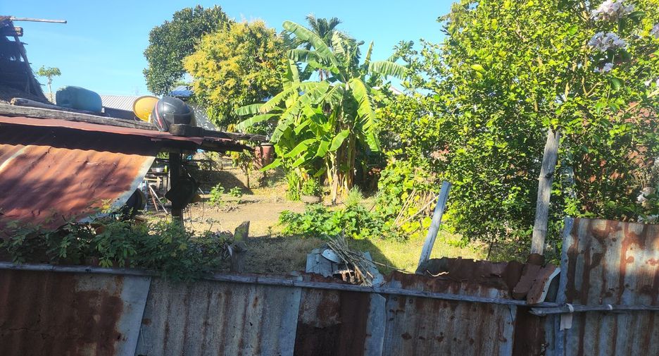 For sale land in Si Thep, Phetchabun