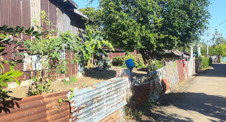 For sale land in Si Thep, Phetchabun