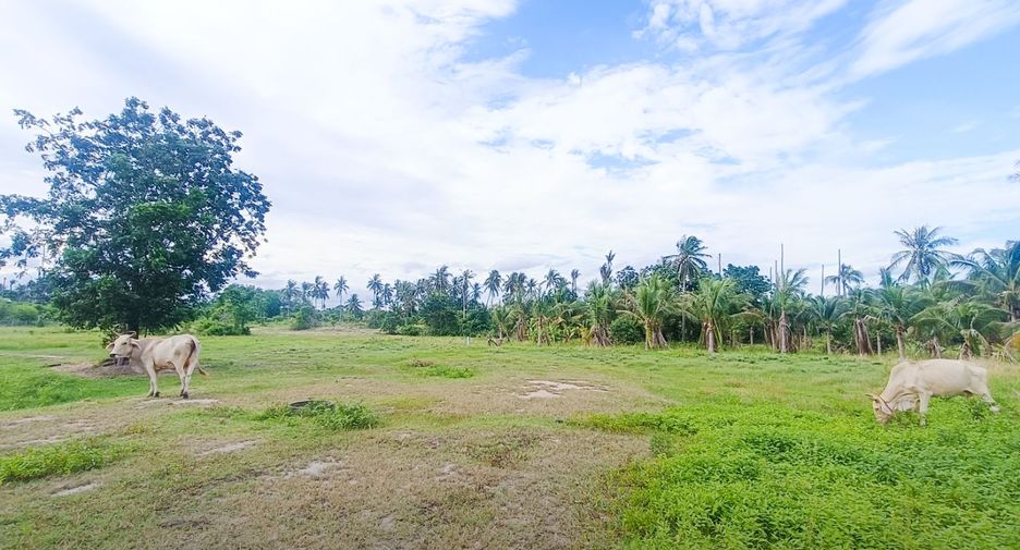 For sale land in Thap Sakae, Prachuap Khiri Khan