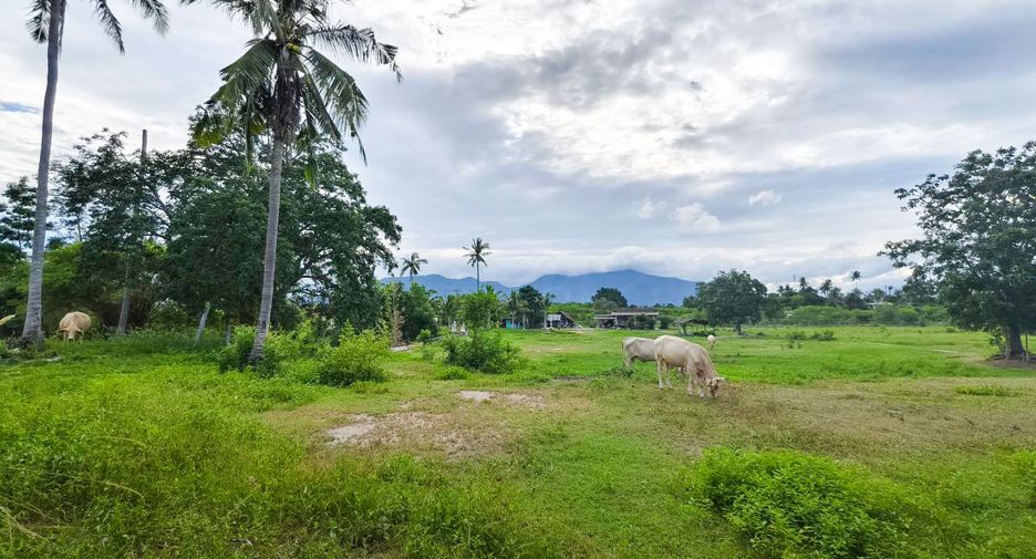 For sale land in Thap Sakae, Prachuap Khiri Khan