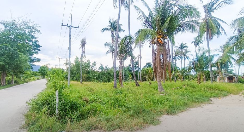 For sale land in Thap Sakae, Prachuap Khiri Khan