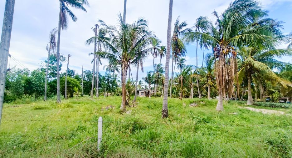 For sale land in Thap Sakae, Prachuap Khiri Khan