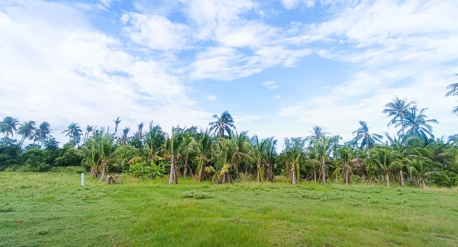 For sale land in Thap Sakae, Prachuap Khiri Khan