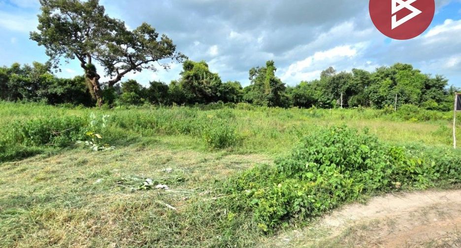 For sale land in Nong Phok, Roi Et