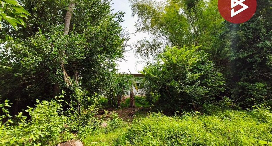 For sale land in Prasat, Surin