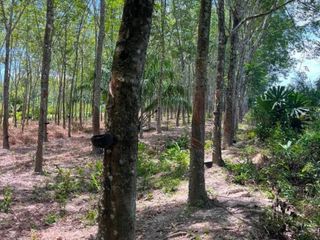 Terreno en venta en Phra Phrom, Nakhon Si Thammarat