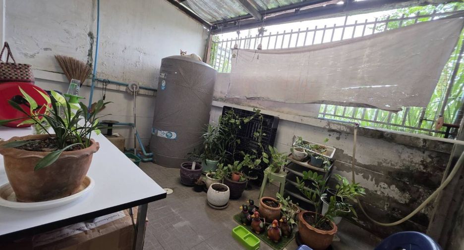 Reihenhaus zum Kauf mit 3 Zimmer in Mueang Nakhon Ratchasima, Nakhon Ratchasima