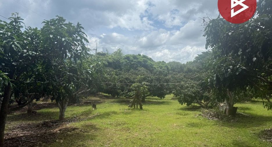 Terreno en venta en Phrao, Chiang Mai